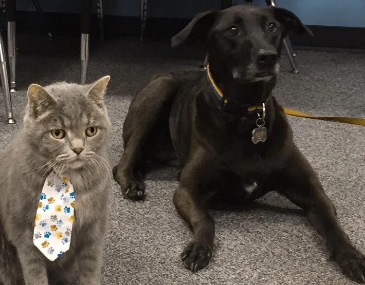 Frank and Joy are friends.