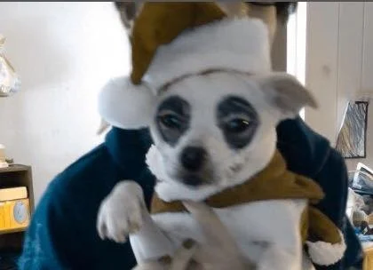 THE CUTENESS BEFORE CHRISTMAS