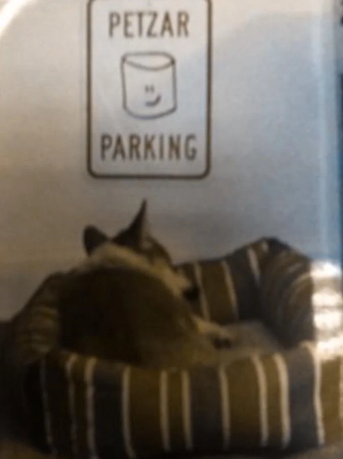 CHARLIE PETZAR AND HIS MARSHMALLOWS