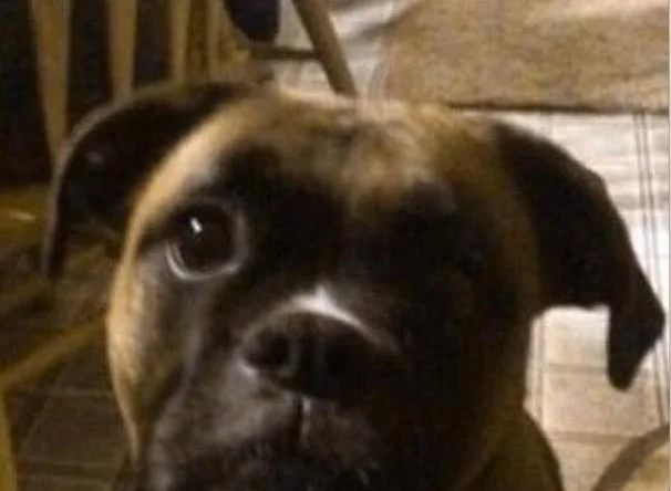 THE THREE COMMANDMENTS OF CANCER THERAPY