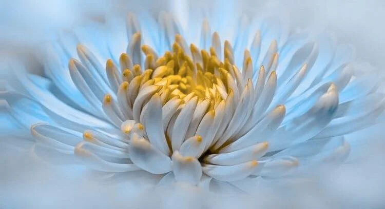 DECIDING WHEN IT'S TIME, PART 1 OF 4