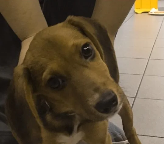 IF I ACT LIKE AN EXTROVERT, THERE IS PROBABLY MORE TO THE STORY