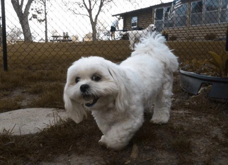 LUCY'S WATER ADVENTURE