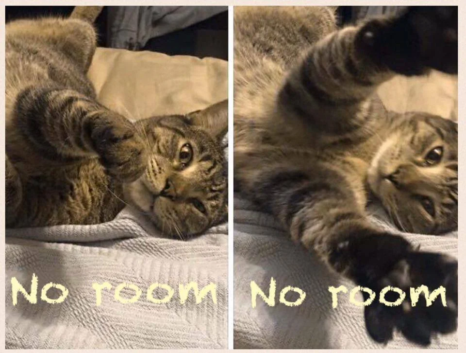 No Room, You Cannot Stay