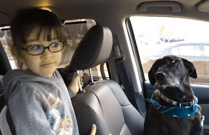 Then Joy begged to be allowed to drive.