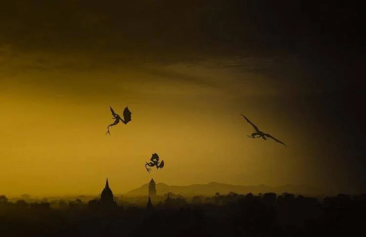 RECOMMENDING REWARD-BASED DOG TRAINING TO VETERINARY CLIENTS