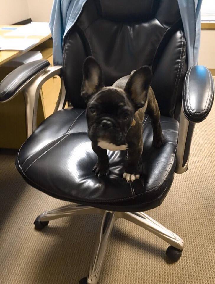 I could definitely work under these conditions. Jynx, the chair is yours.