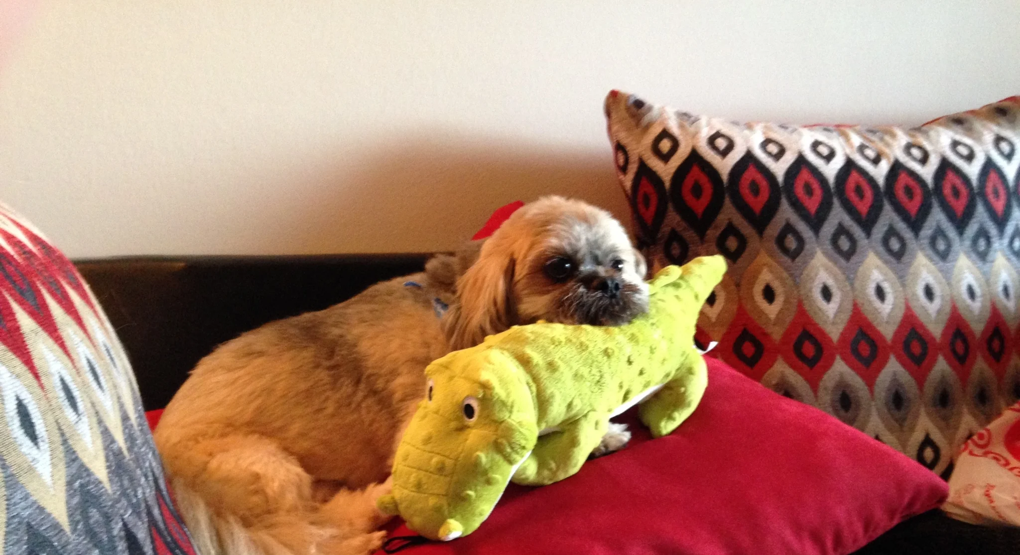 A LETTER TO GULLIVER'S FORMER HUMANS