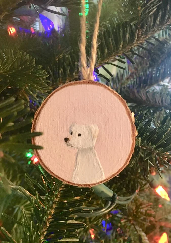NEW ORNAMENTS