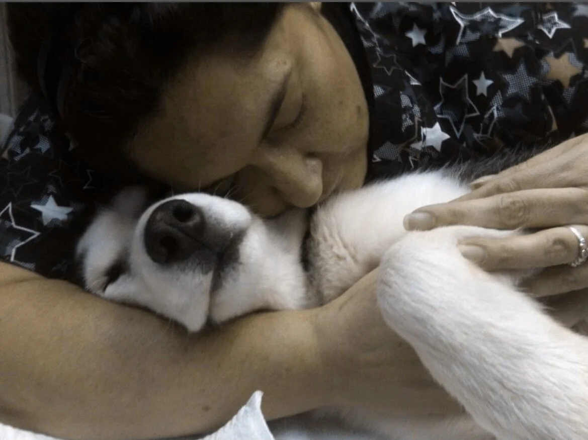 VETERINARY TECHNICIANS I HAVE KNOWN AND LOVED