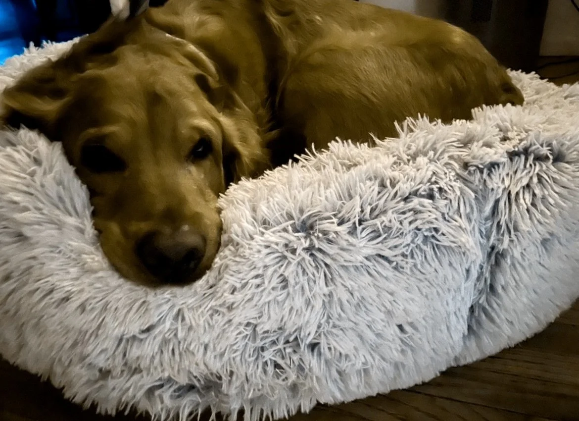 HAPPY NEW YEAR 2026!