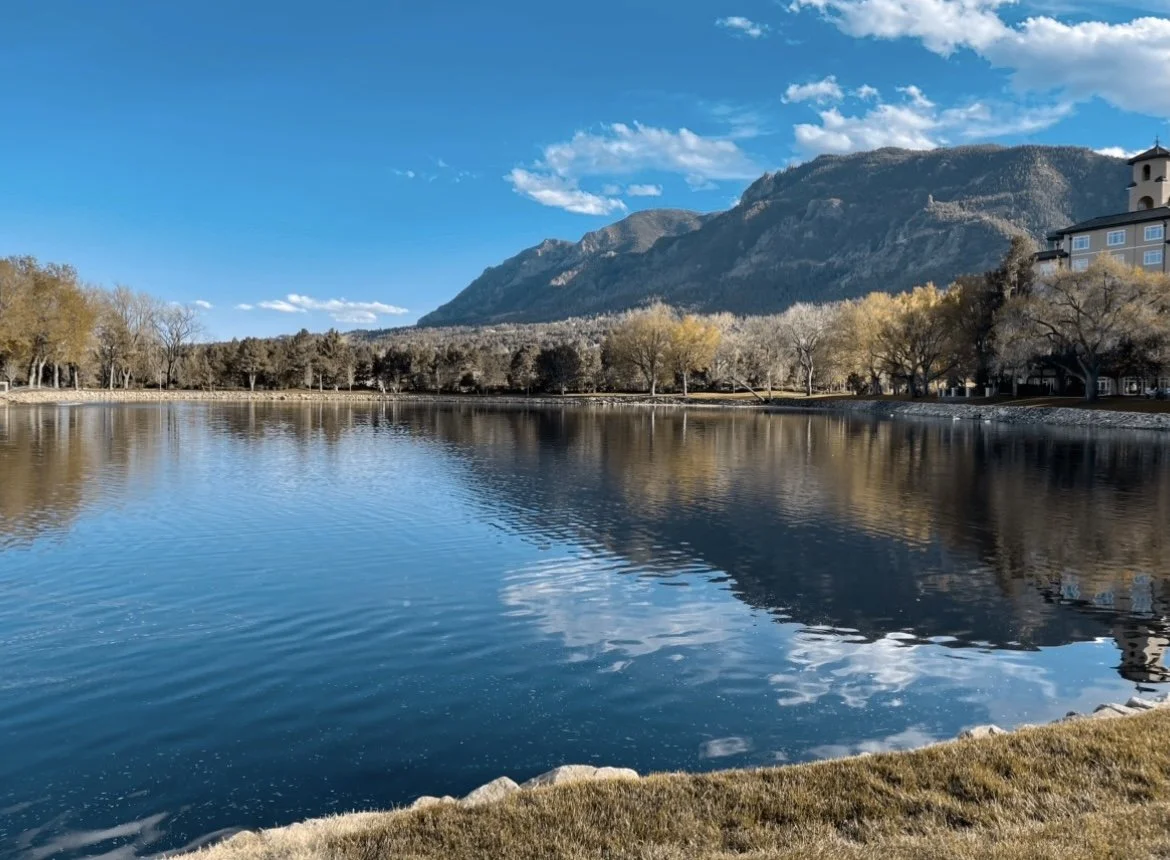 THE SYRINGE AND THE GUN