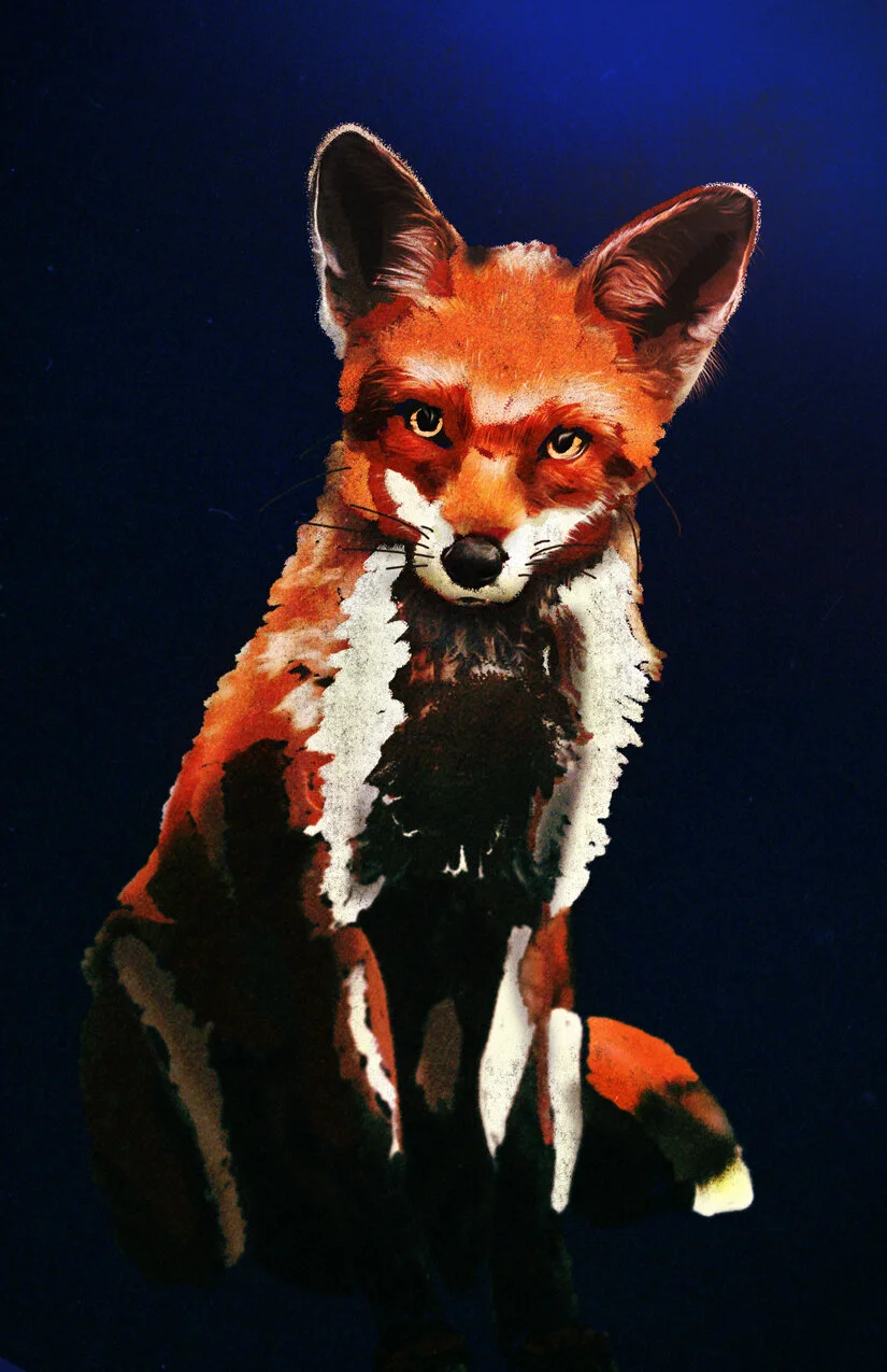 Fox.jpg