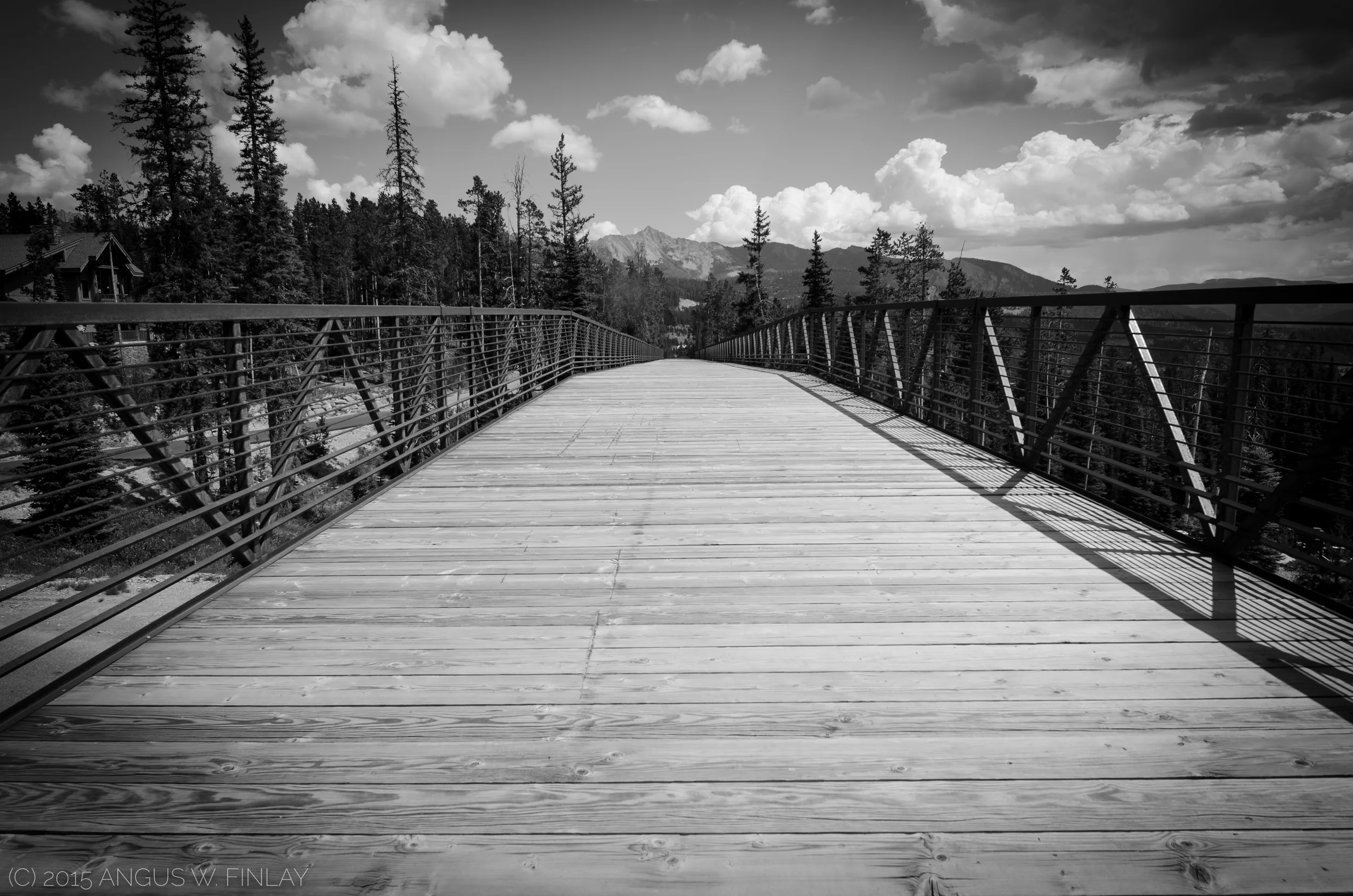 Ski Bridge