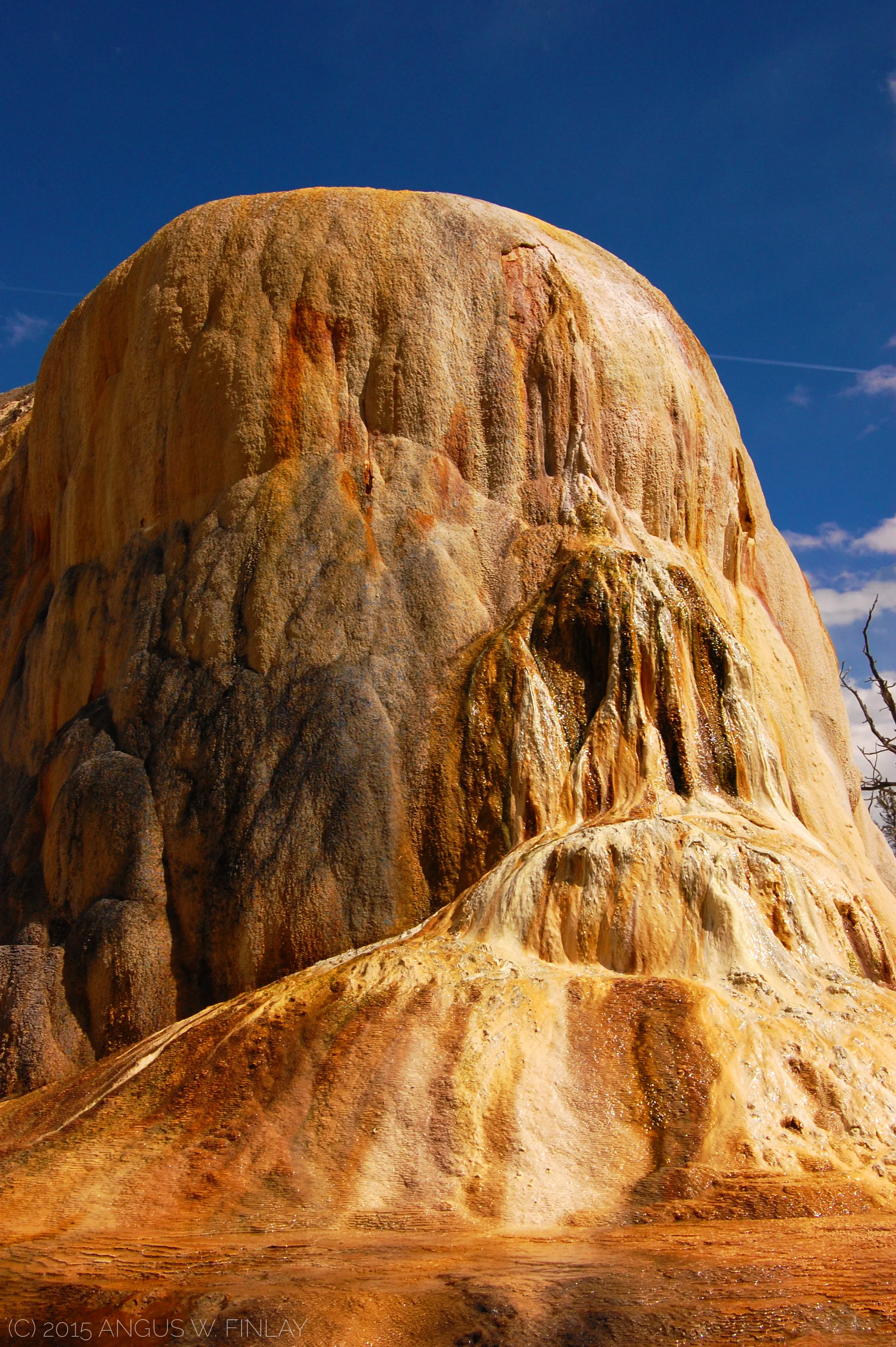 Orange Spring Mound