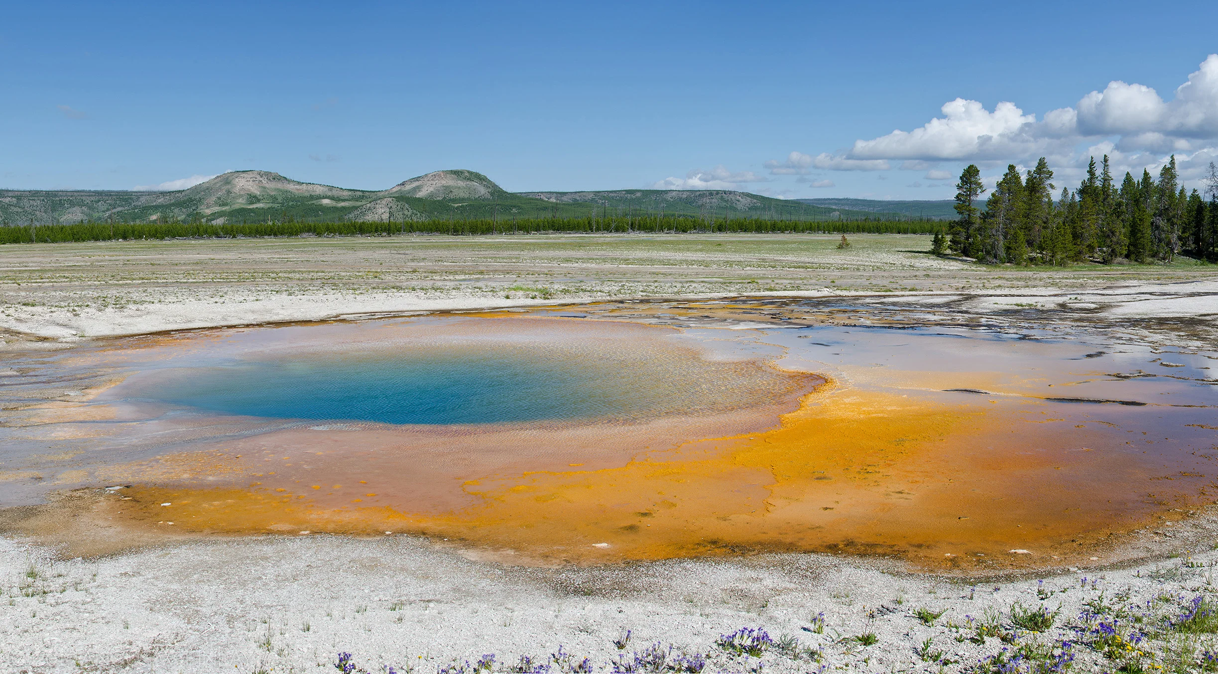 MidwayGeyser1WM-2.jpg