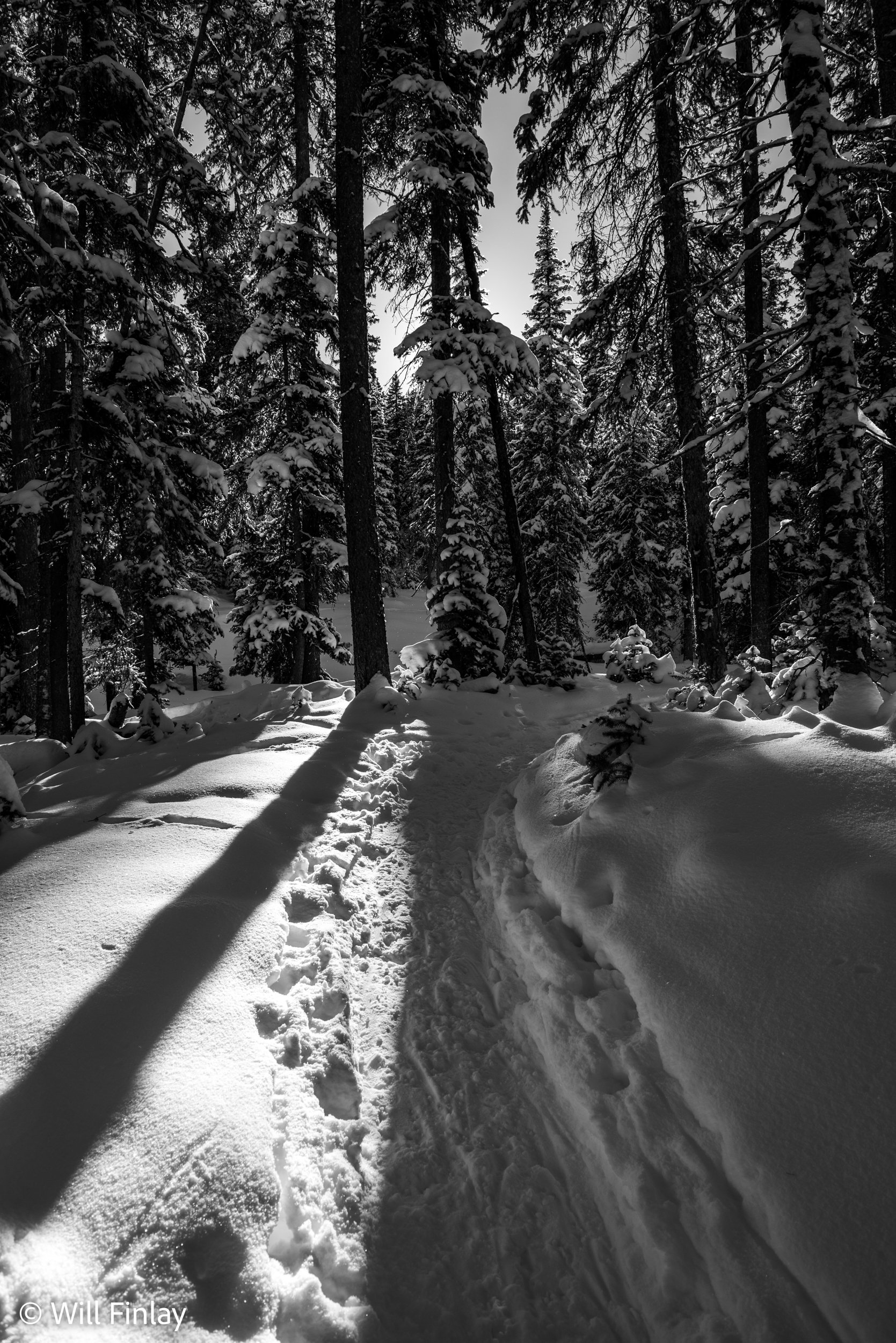 Ulery’s Solo Snowshoe-04WMWebSpec.jpg