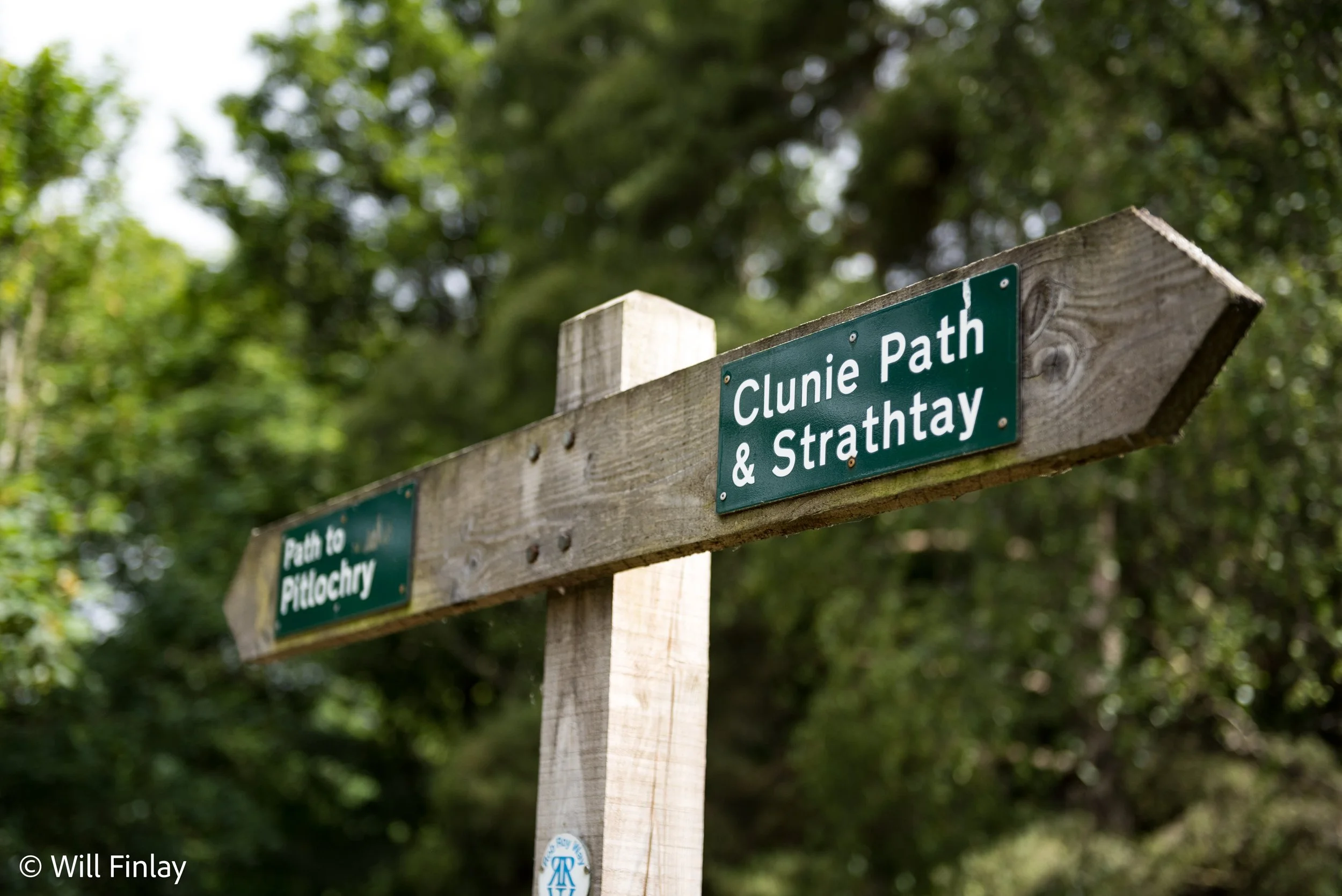 Scotland2019-5849WMWebSpec.jpg