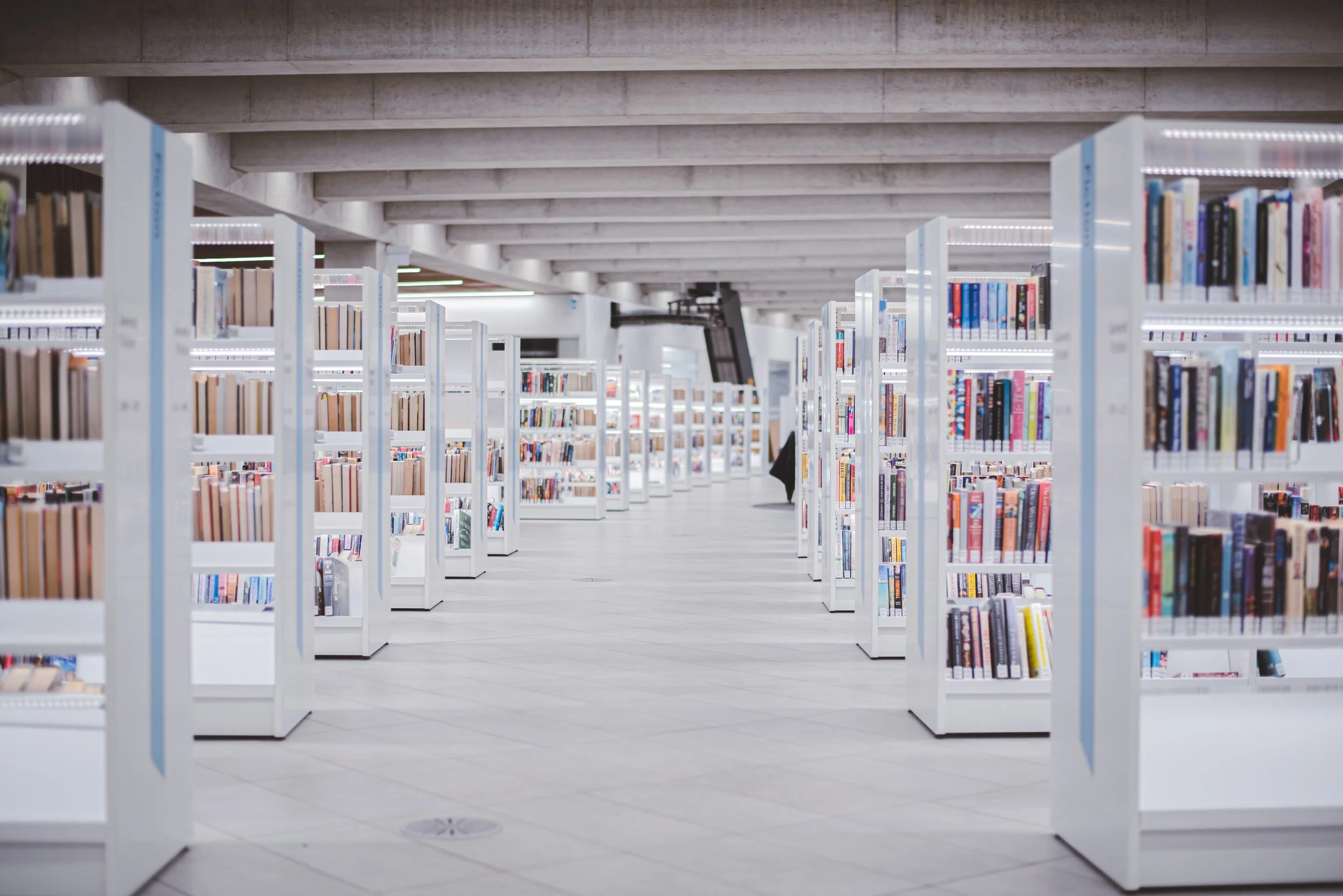 unsplash-image-FKqxZ58bVjU.jpg