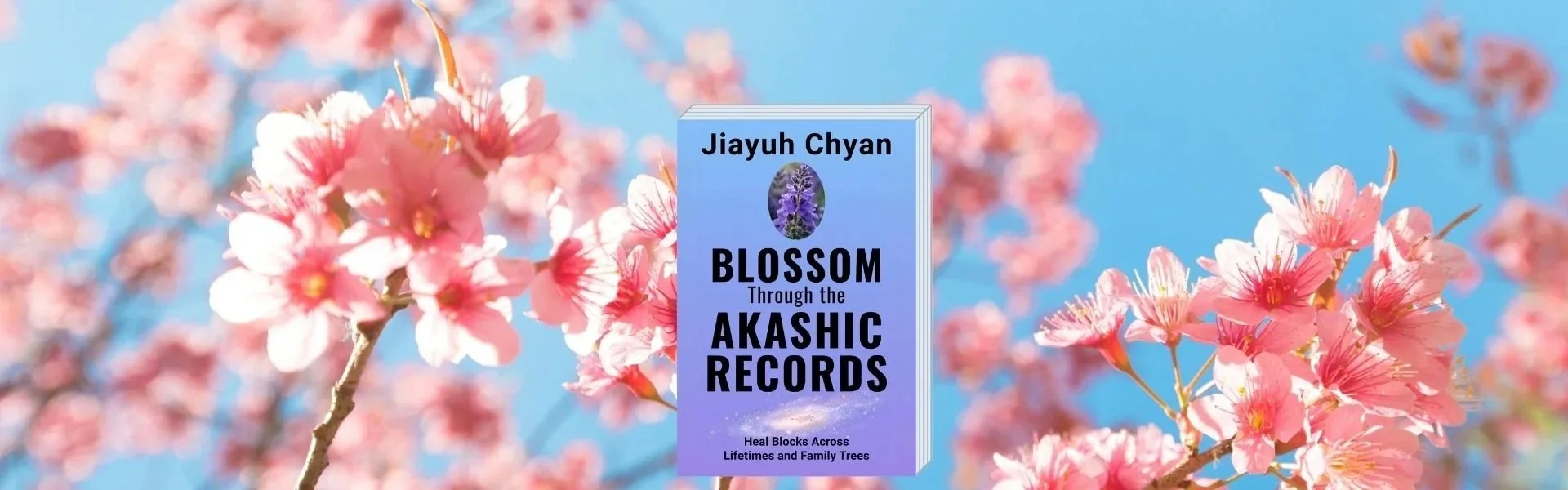 Book Blossom Web Banner.jpg