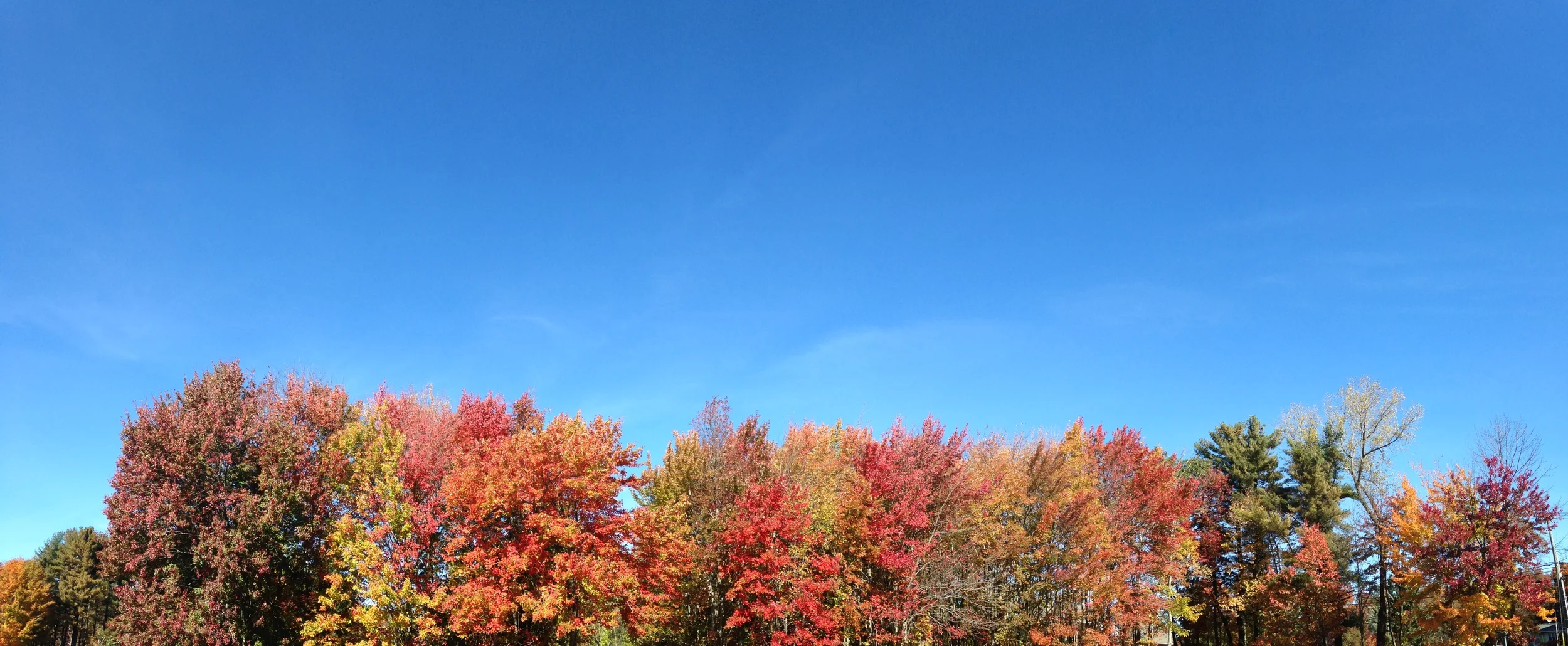 Putting Yourself First