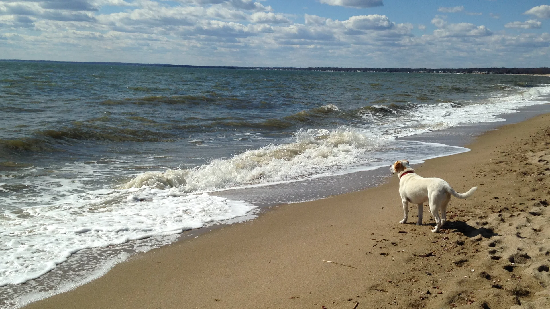 Got Guts for Spiritual Renovation?