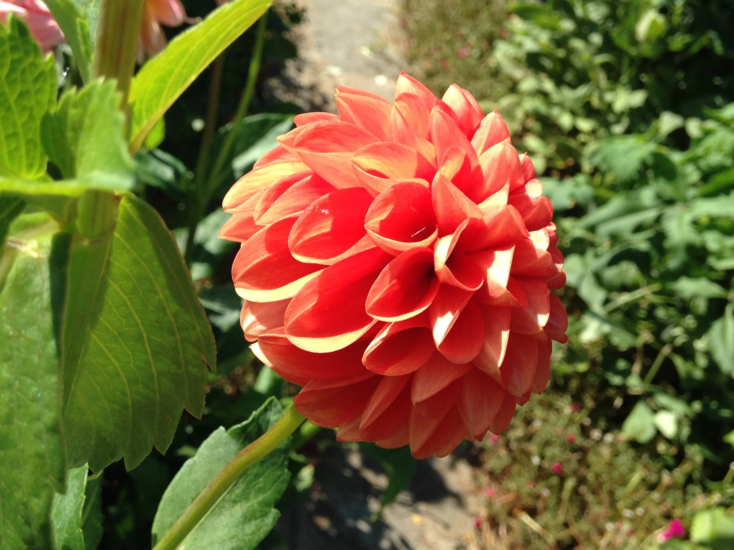 Why do we get triggered by the same emotional wounds