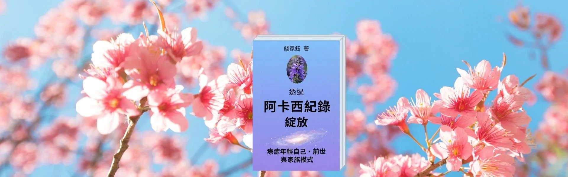 Book Blossom Web Banner Chinese.jpg