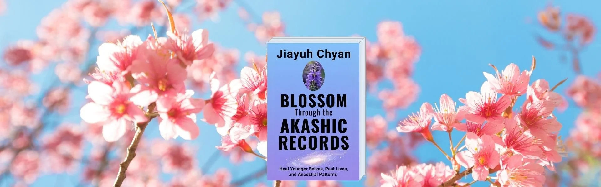 Book Blossom Web Banner.jpg