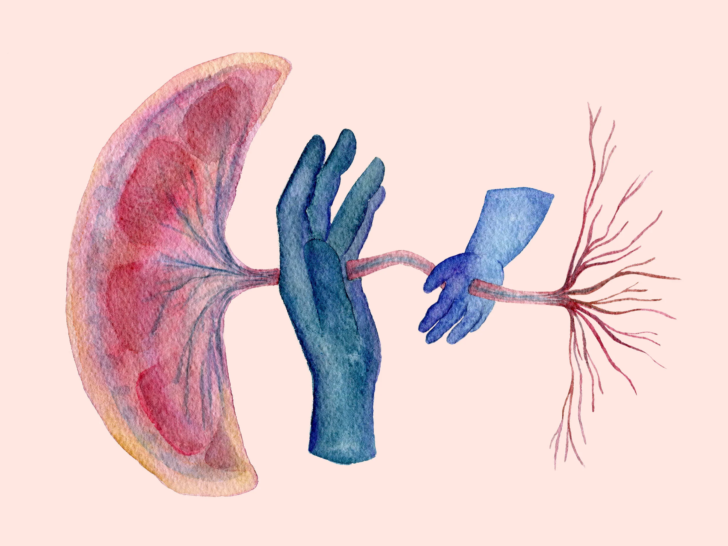 Created for WNYC’s Radiolab episode about the placenta titled “Everybody’s Got One”