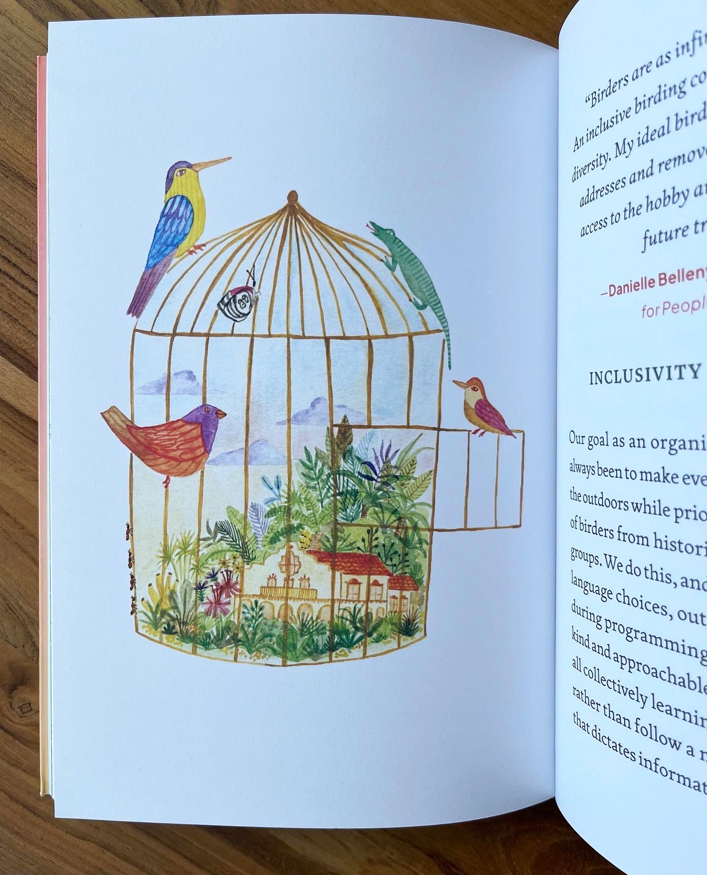 birding book 2.jpg