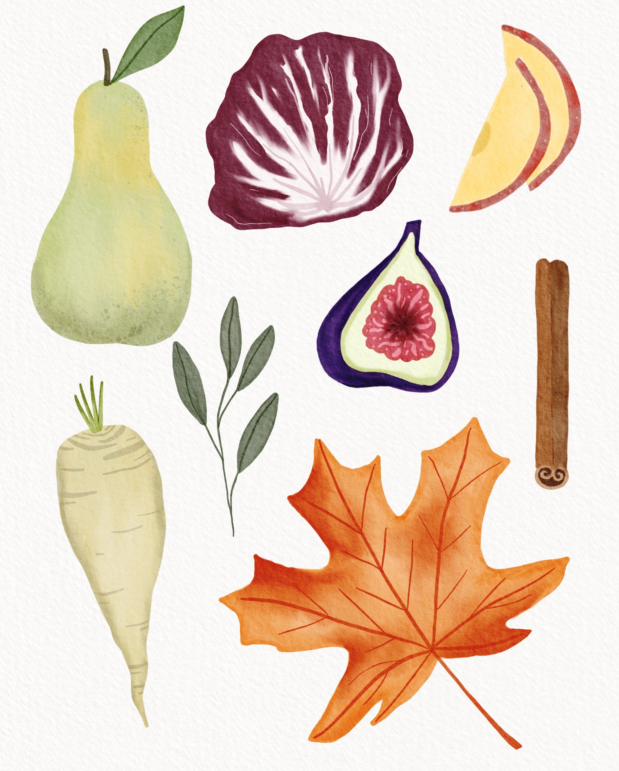 fall ingredients.jpg