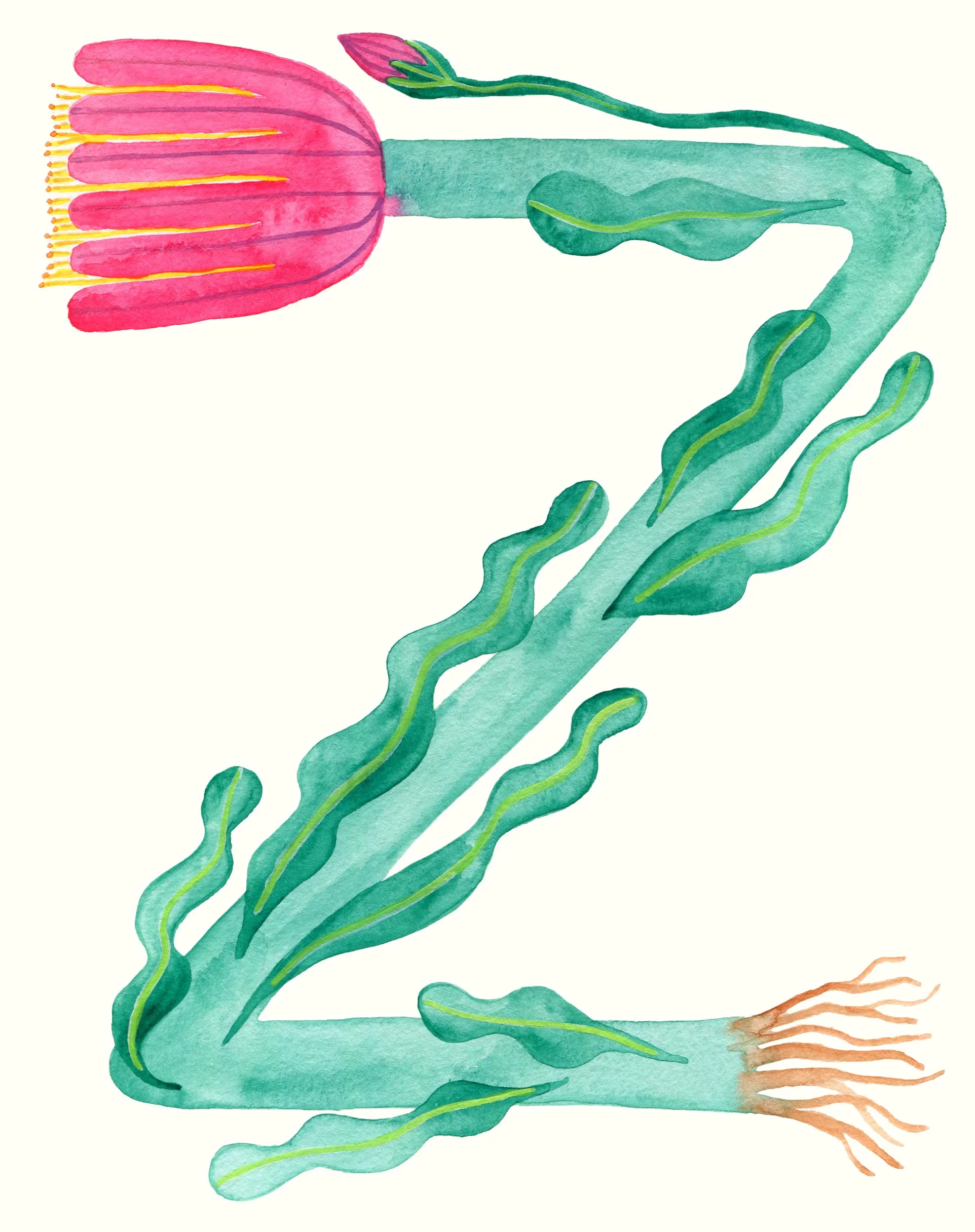 z for zuzu.jpg