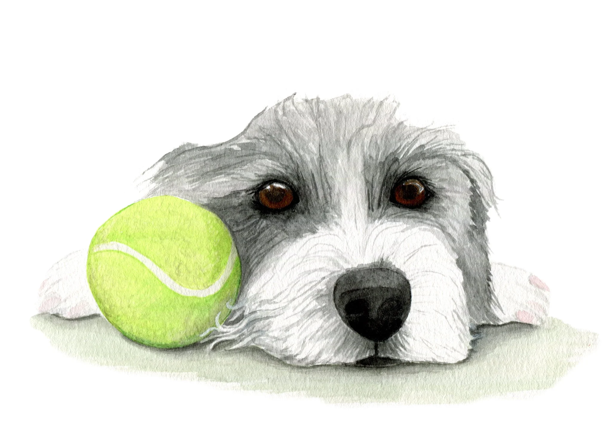 sally portrait 2.jpg