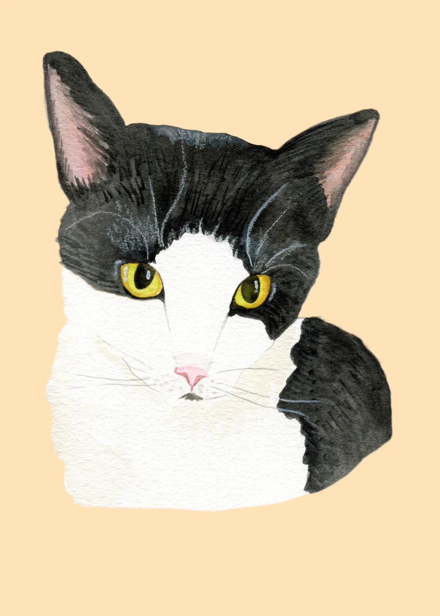 cat portrait_snowy.jpg