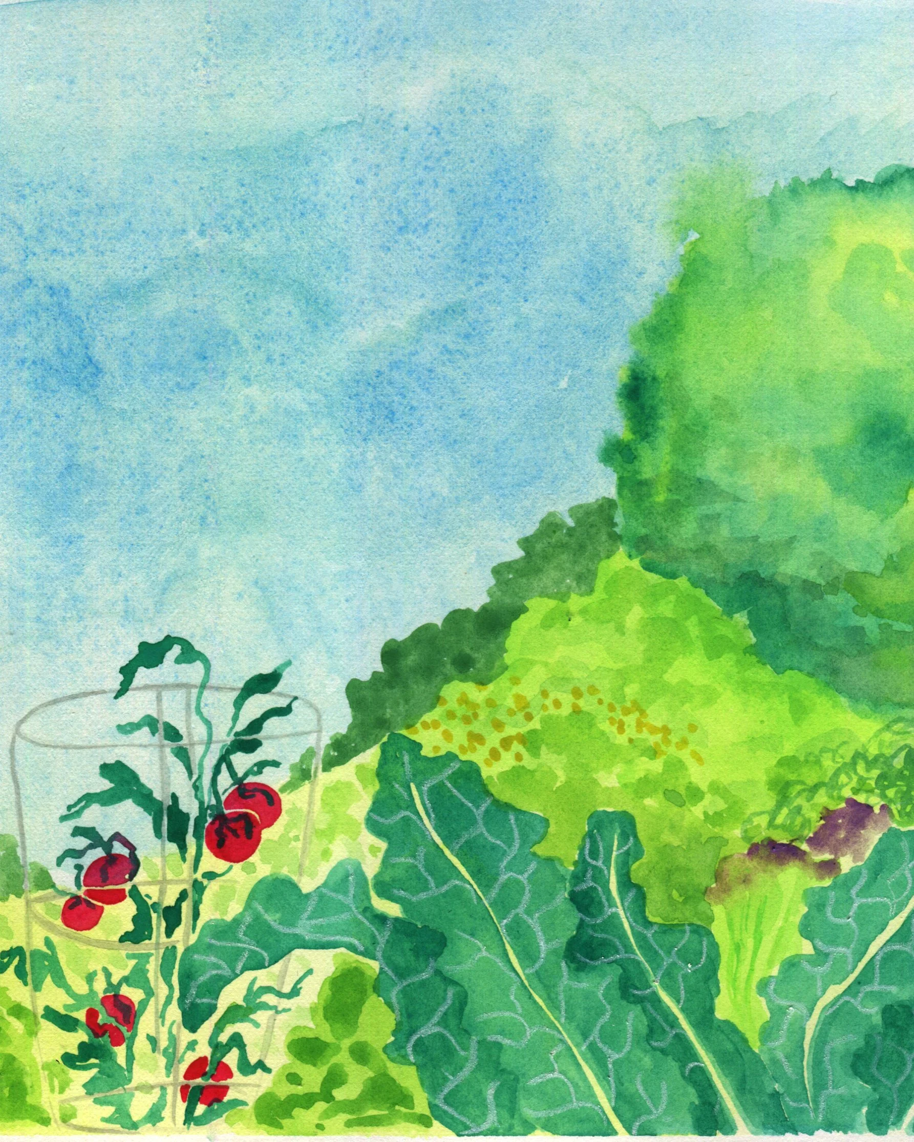 garden scene.jpg