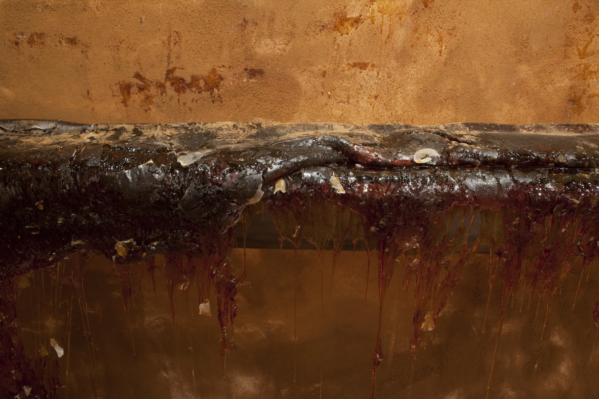 06. Cinnamon(detail).jpg