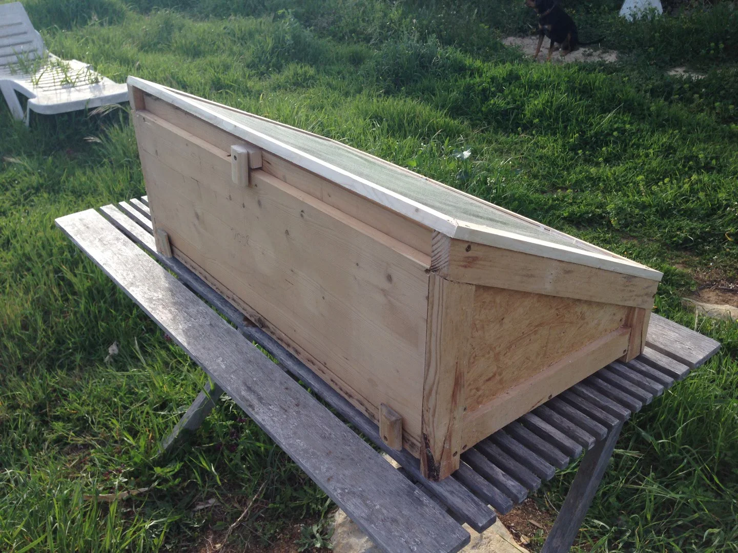 SJC_PRO3 - IMG_1460.JPG