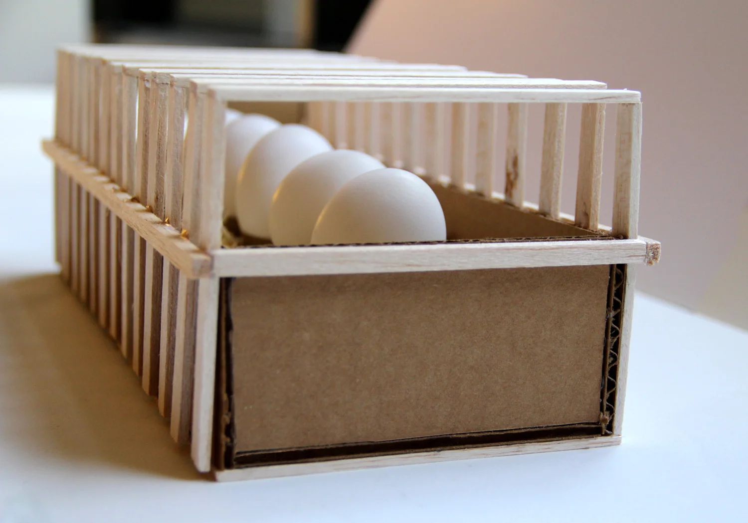 EggPackaging_Detail_C.jpg