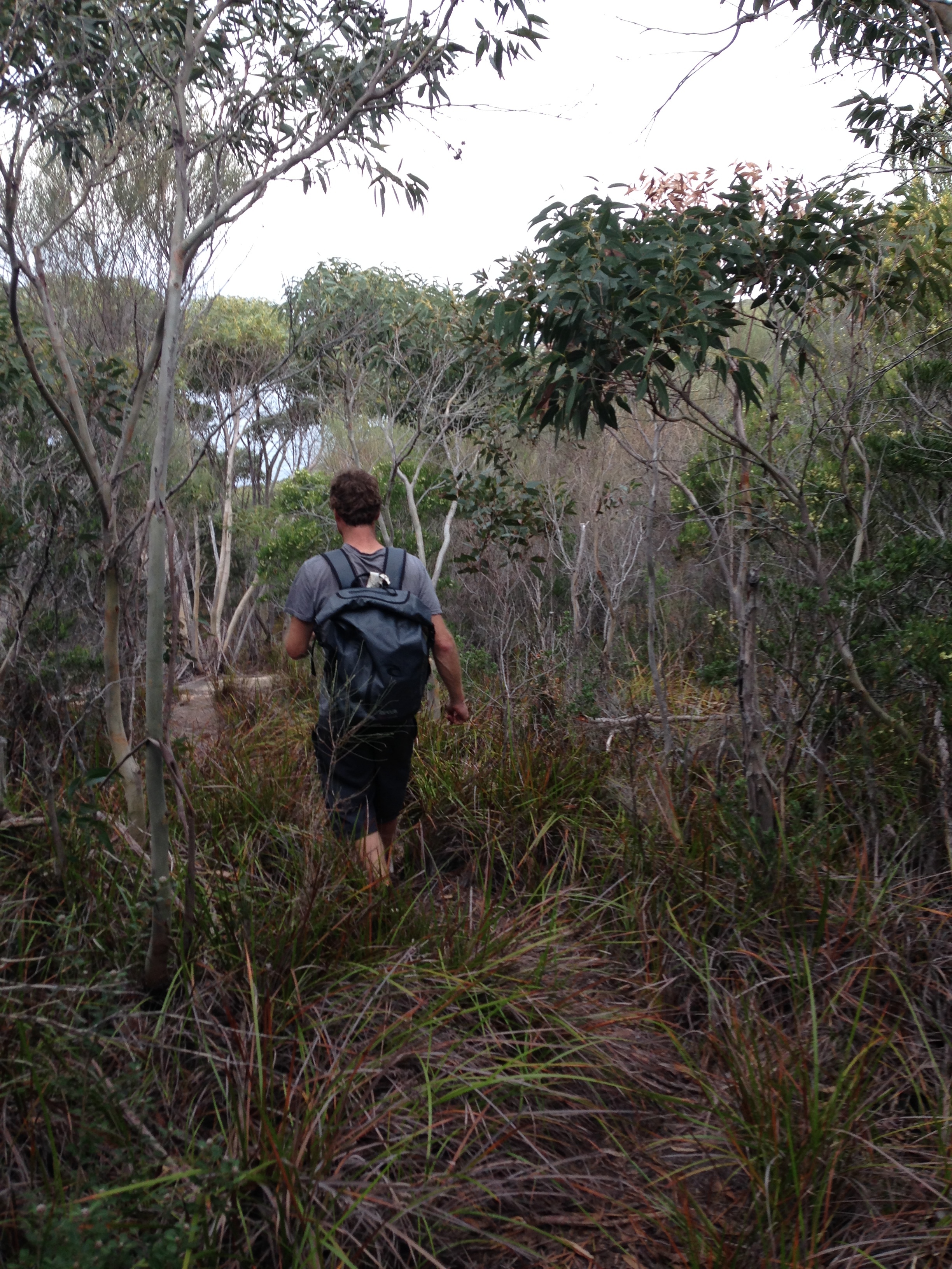 Mick leading the way to the Crash sight, scaring the snakes off for me.