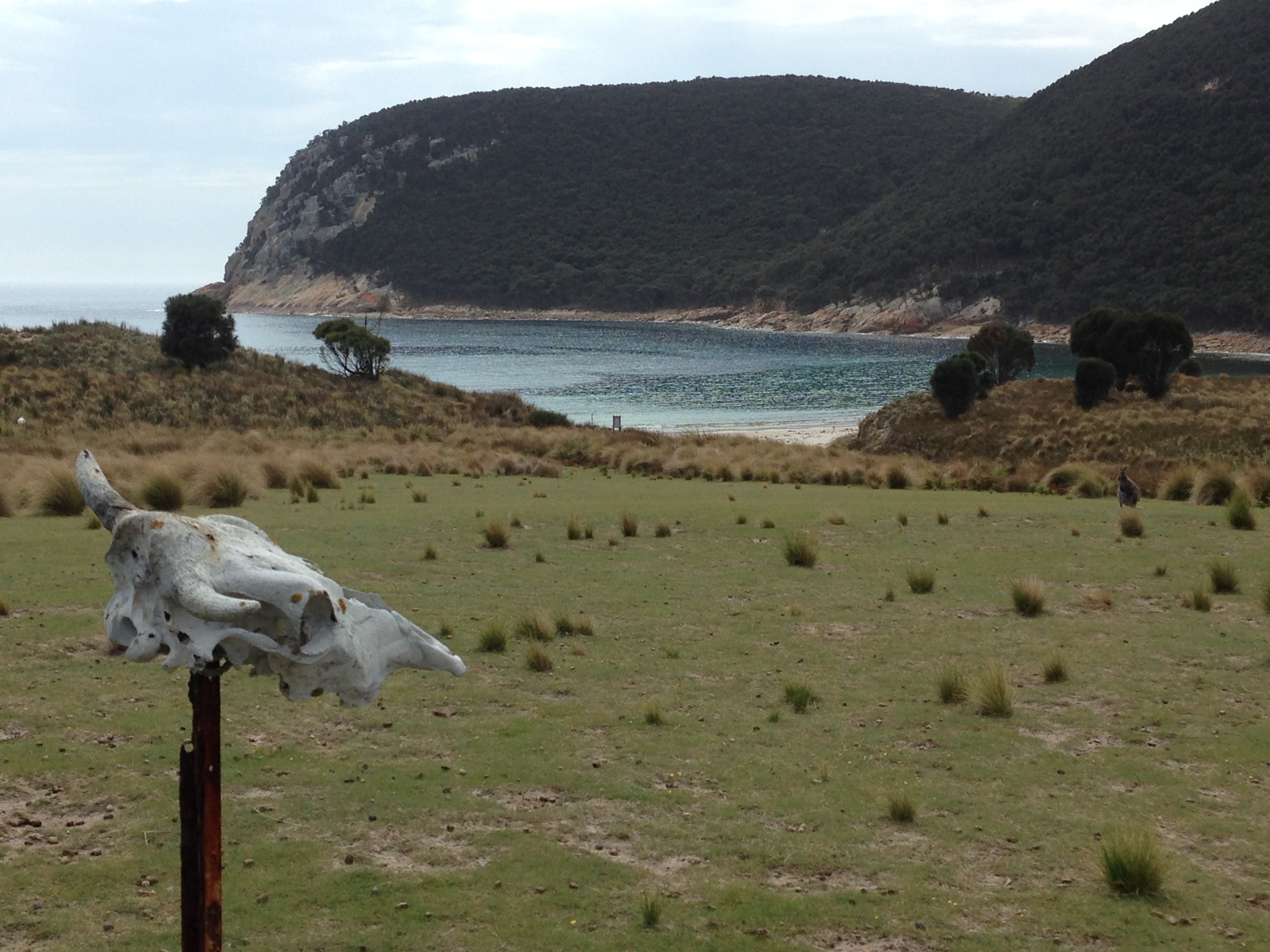 Garden Cove, we were able to ride right onto the beach .