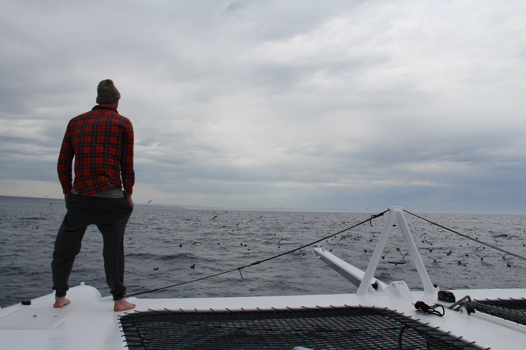 Benn on the bow as we motor into a flock of hundreds of birds.