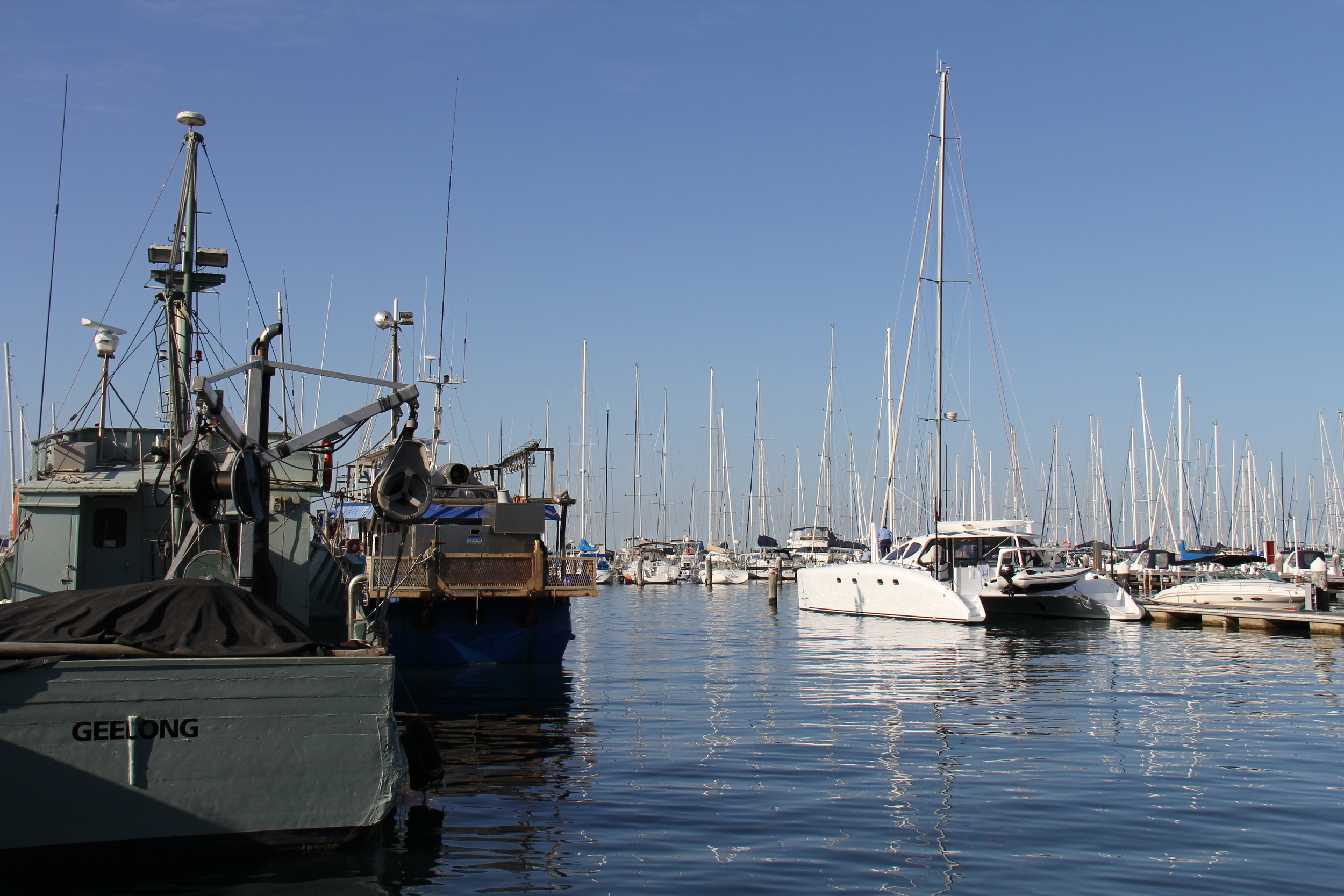 Thanks for having us Royal Geelong Yacht club.