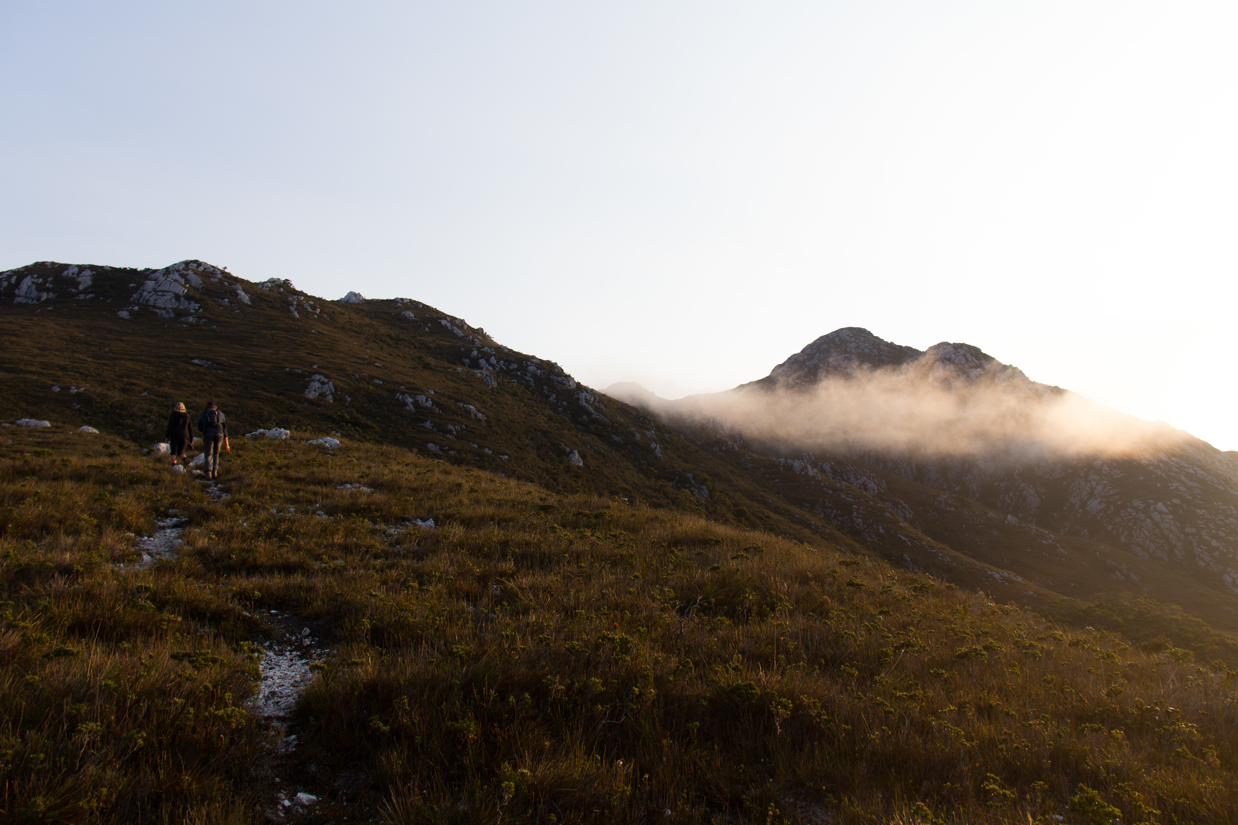 Liss and Michael climbing towards the misty summit of Mt. Misery (371m).