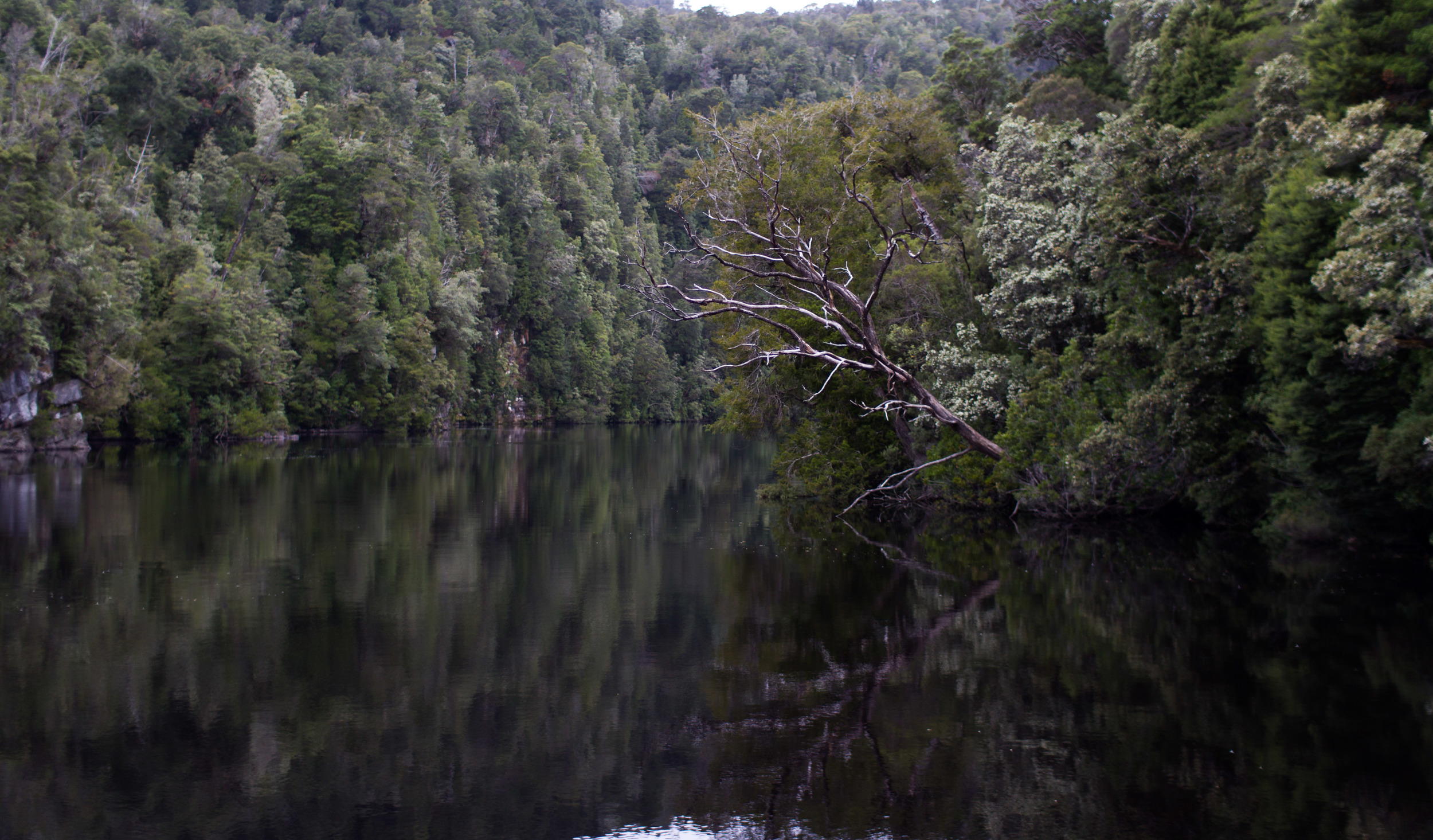 The Gordon River, Tasmania.