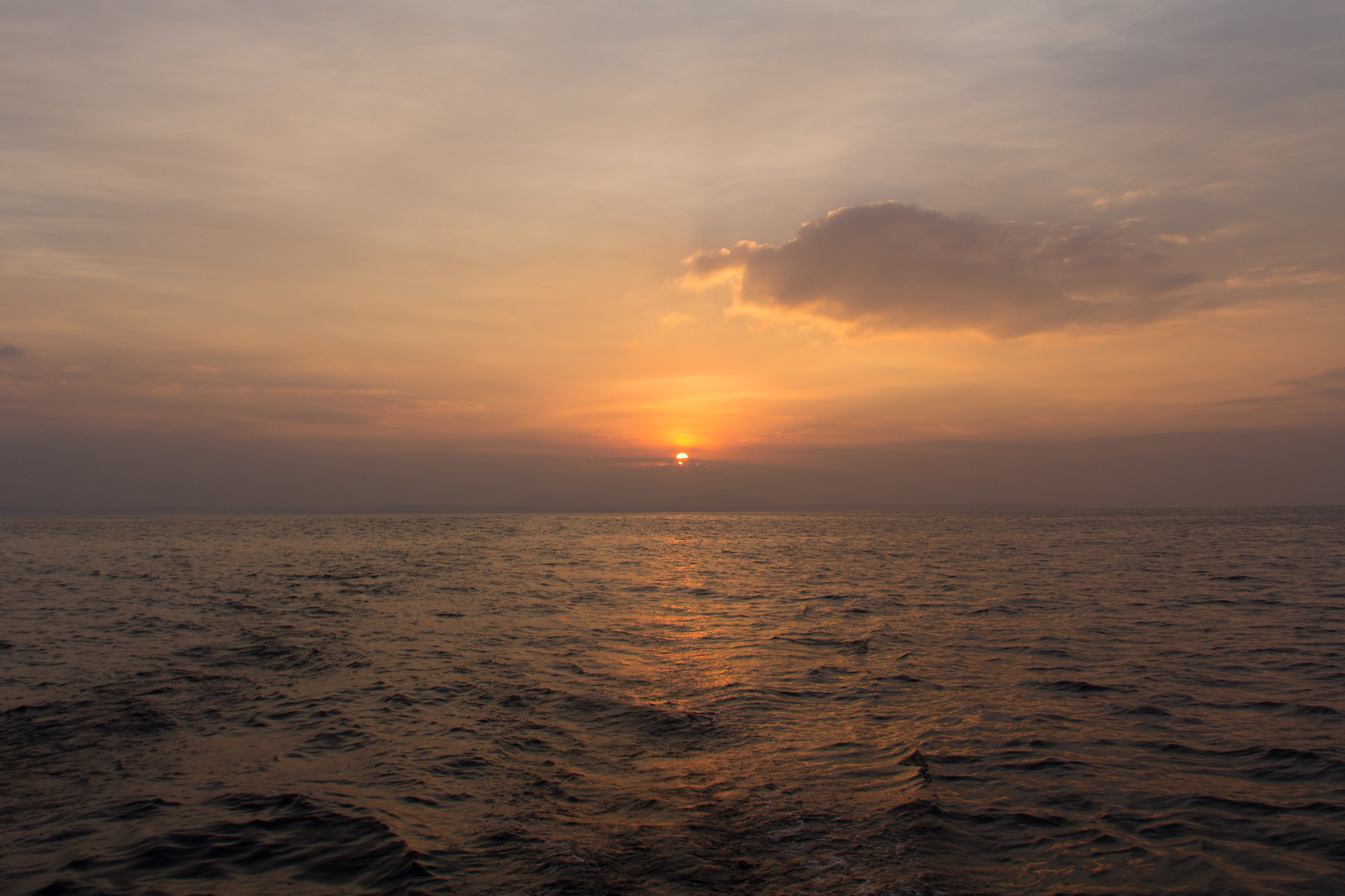 Sunrise through bushfire smoke, West Coast, Tasmania.