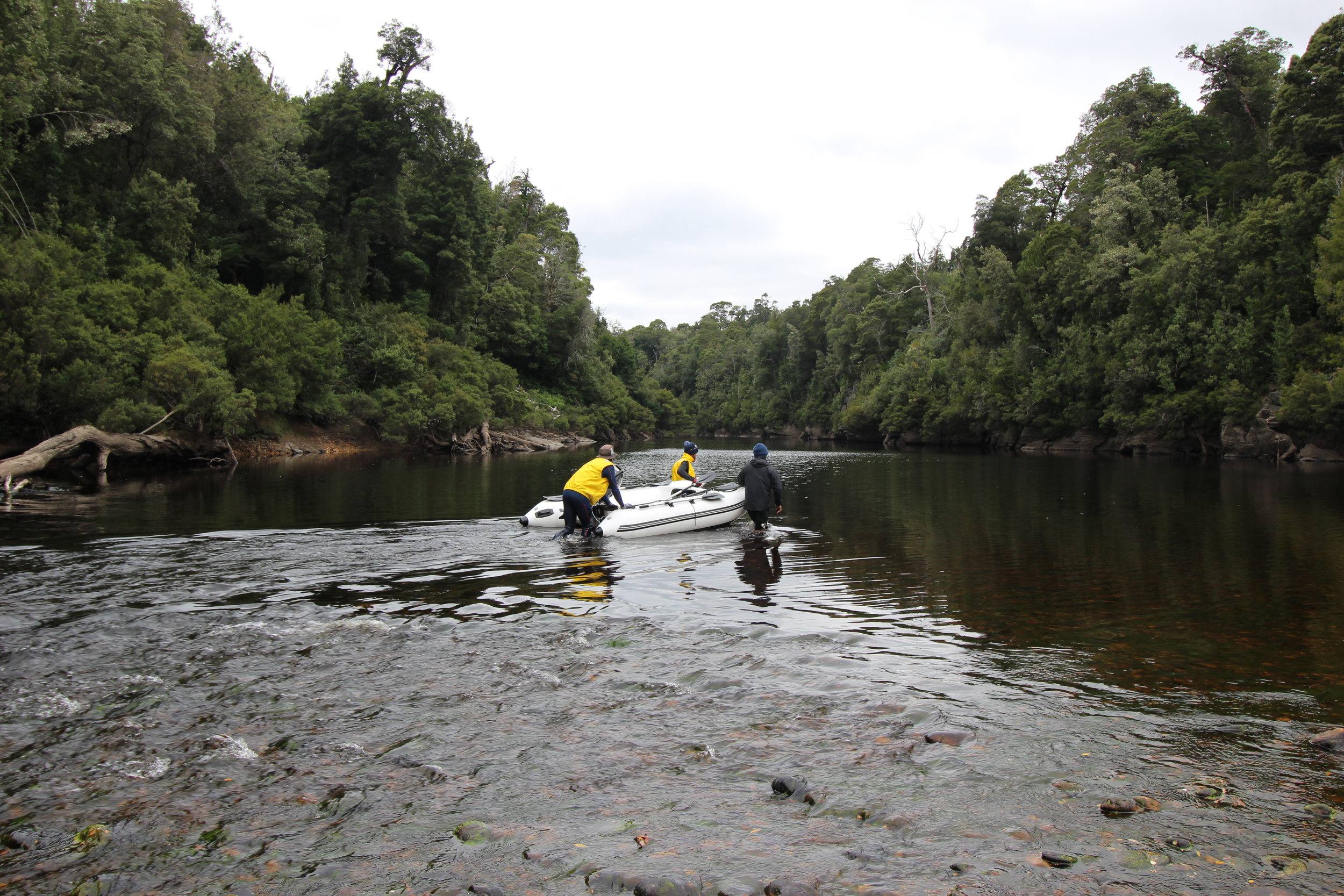 Mick, Andy and Kaidan walking the tender across the shallows.