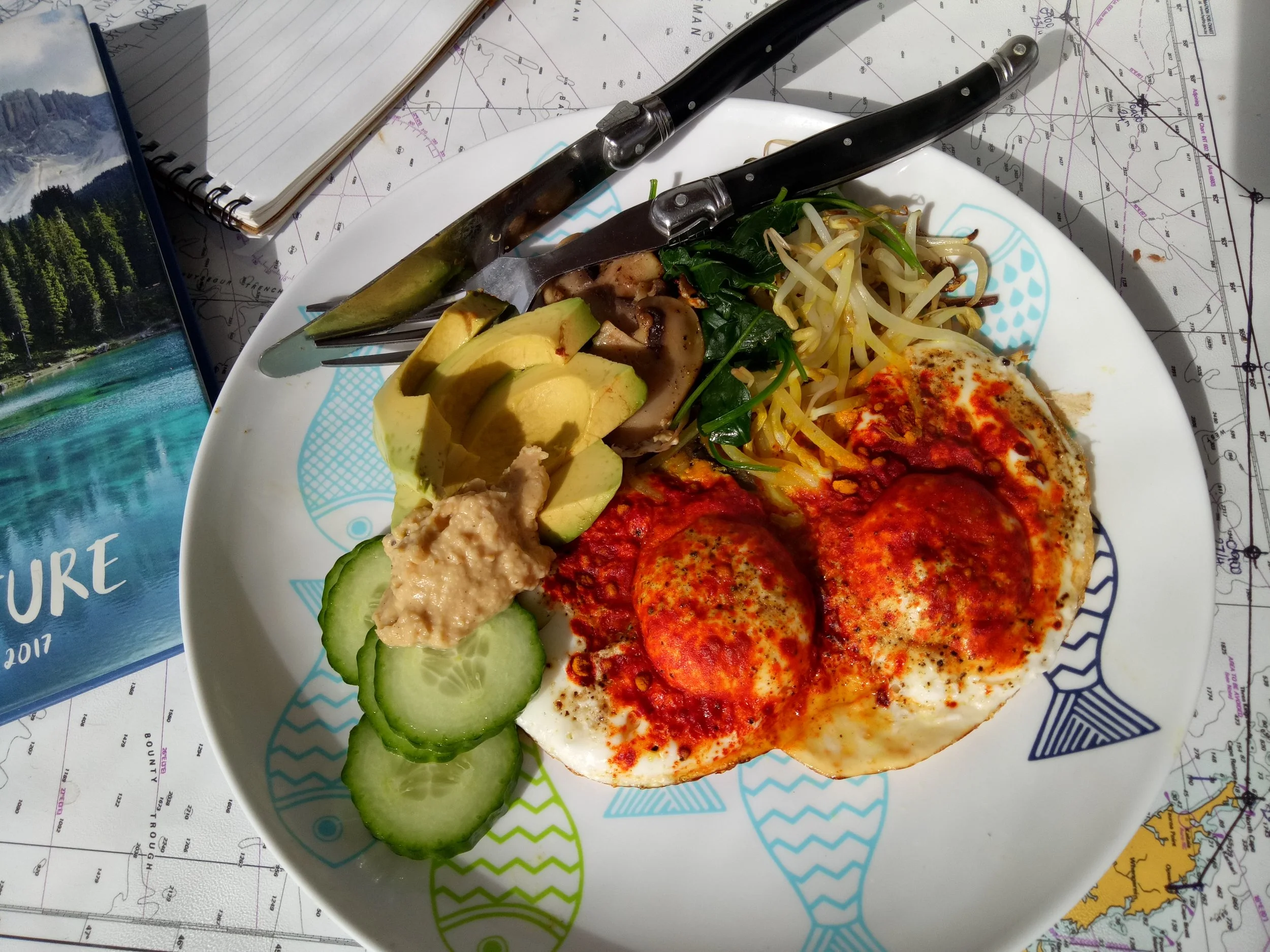 lightly fried free range eggs with home made hummus, some avocado mushrooms, spinach, cucumber and bean sprouts topped with some tumeric spice and a drizzle of olive oil. 
