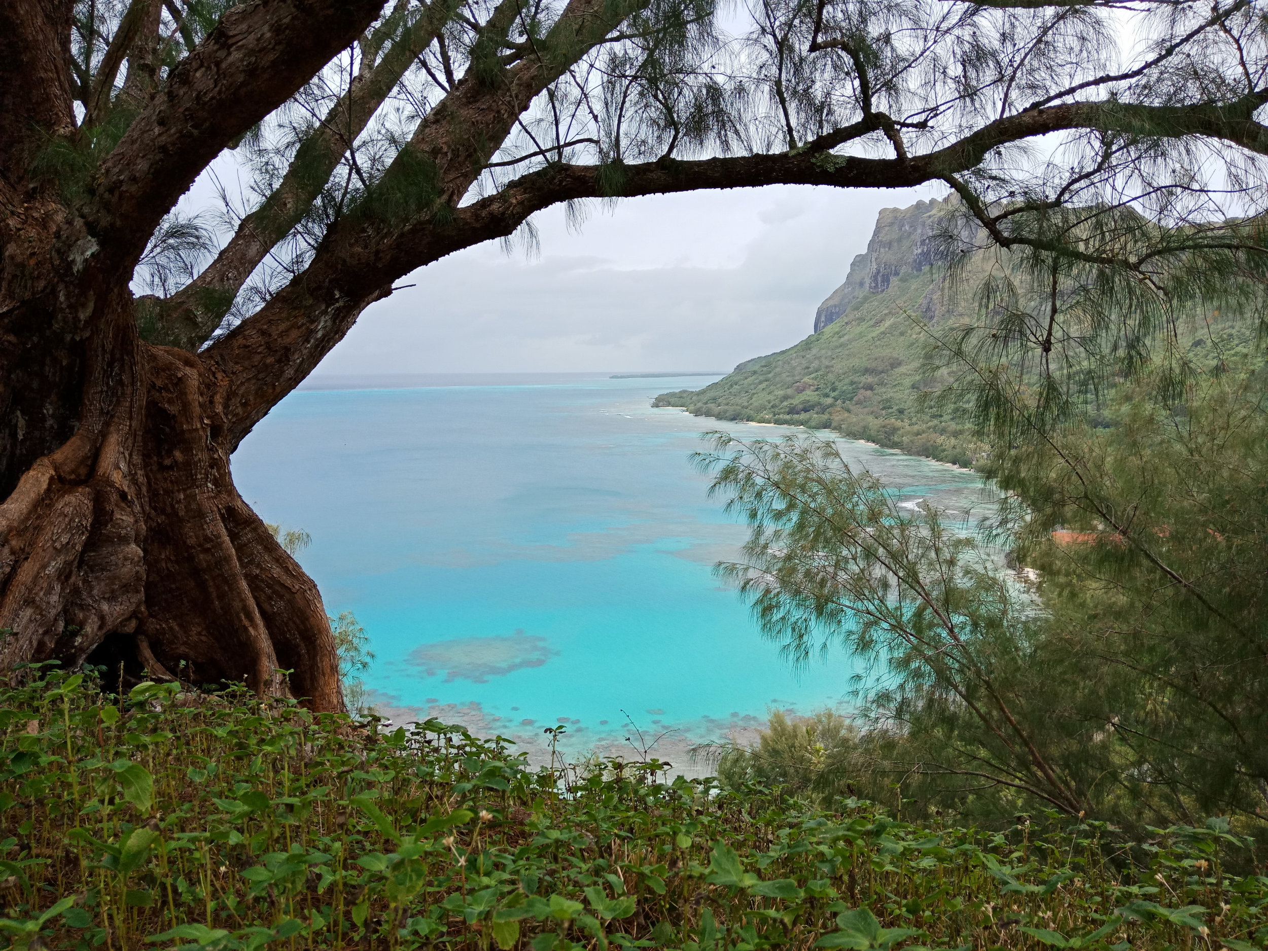  A short hike up a hill to get a amazing view from above  