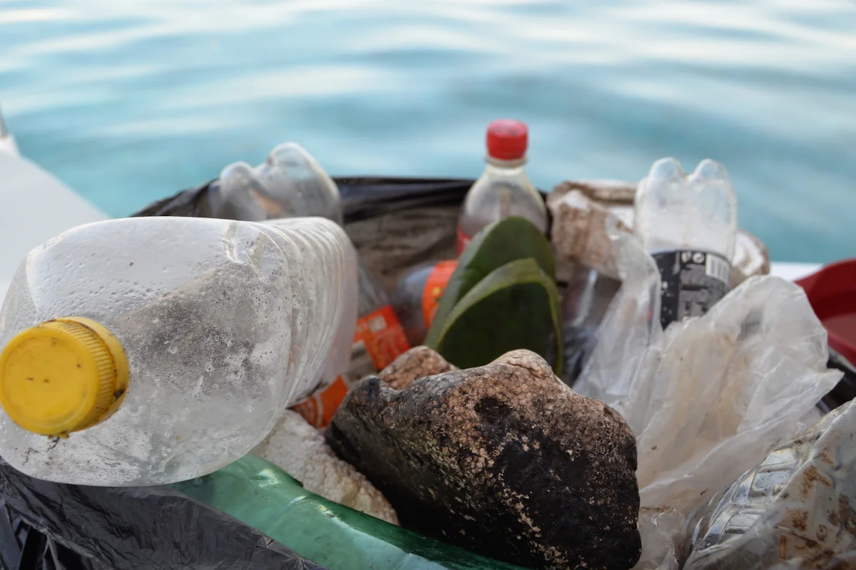 Are you ready for a world with more plastic than fish?